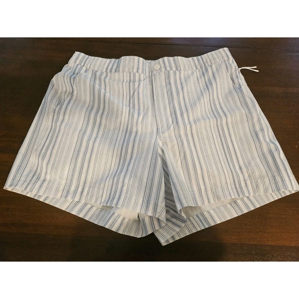 Men's Blue Striped Jean Shorts